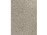 S F254/F255 BST ceppo min. grey - beige 8 x 2070 x 2800 mm  D2 