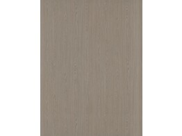 M H267/H267 V1A dainty oak latte 8 x 2070 x 2800 mm  D4 