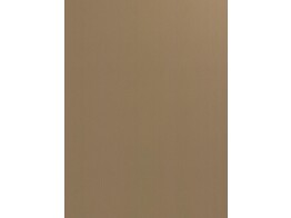 laminaat F994 M01 brushed gold 0.7 x 1300 x 3050 mm   folie  D2 